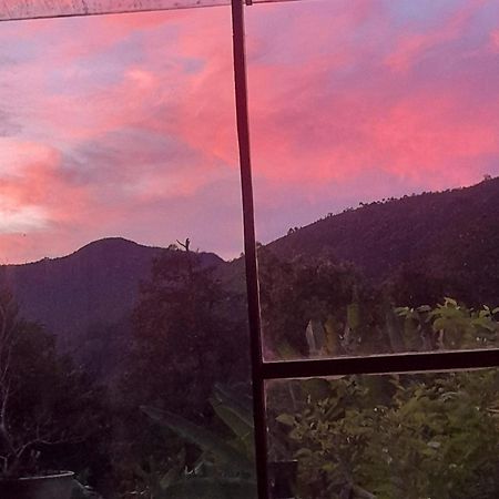 Casa De Vidro Apartment Petrópolis Екстериор снимка